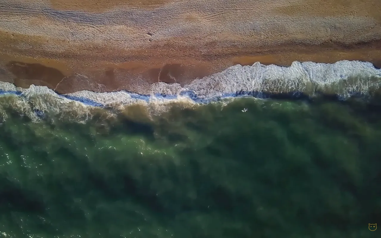 Produzioni multimediali