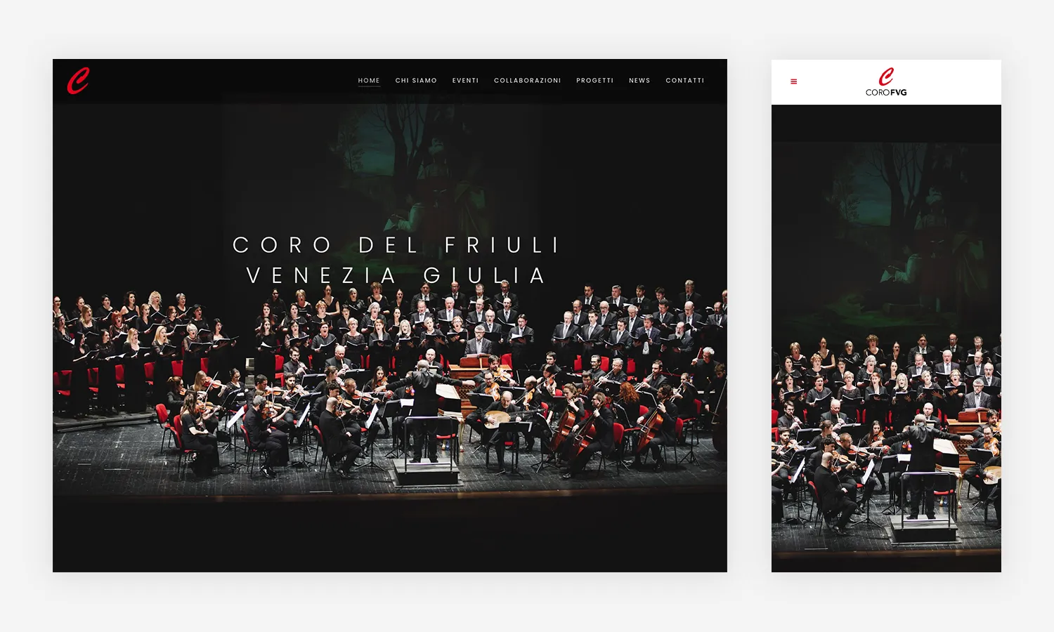 consulenza web